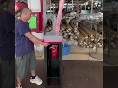 HCW Parking Lot Boom Barrier Gate 24v DC Brushless Motor Mechanism Untuk Keamanan Smart Gate